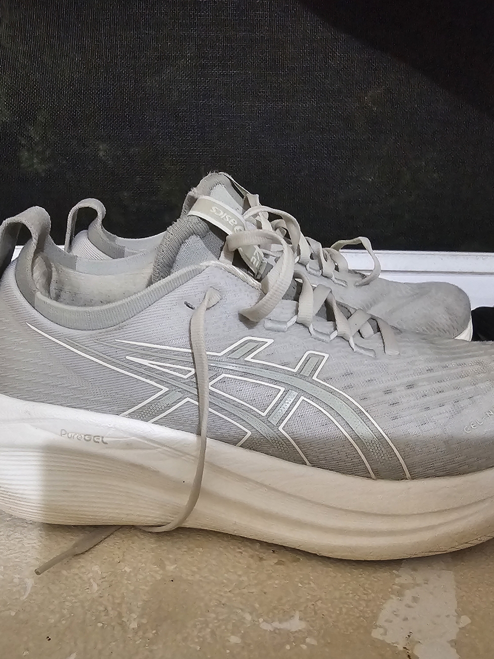 ASICS Women’s Light Gray Running Shoes
